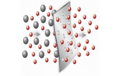 Novel Zeolite Membrane Design Supporting Bioethanol Dehydration